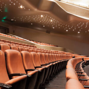 A large theater with brown leather seats